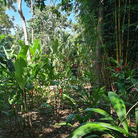 הוילה Puerto Viejo de Talamanca El Jardin De Playa Negra מראה חיצוני תמונה