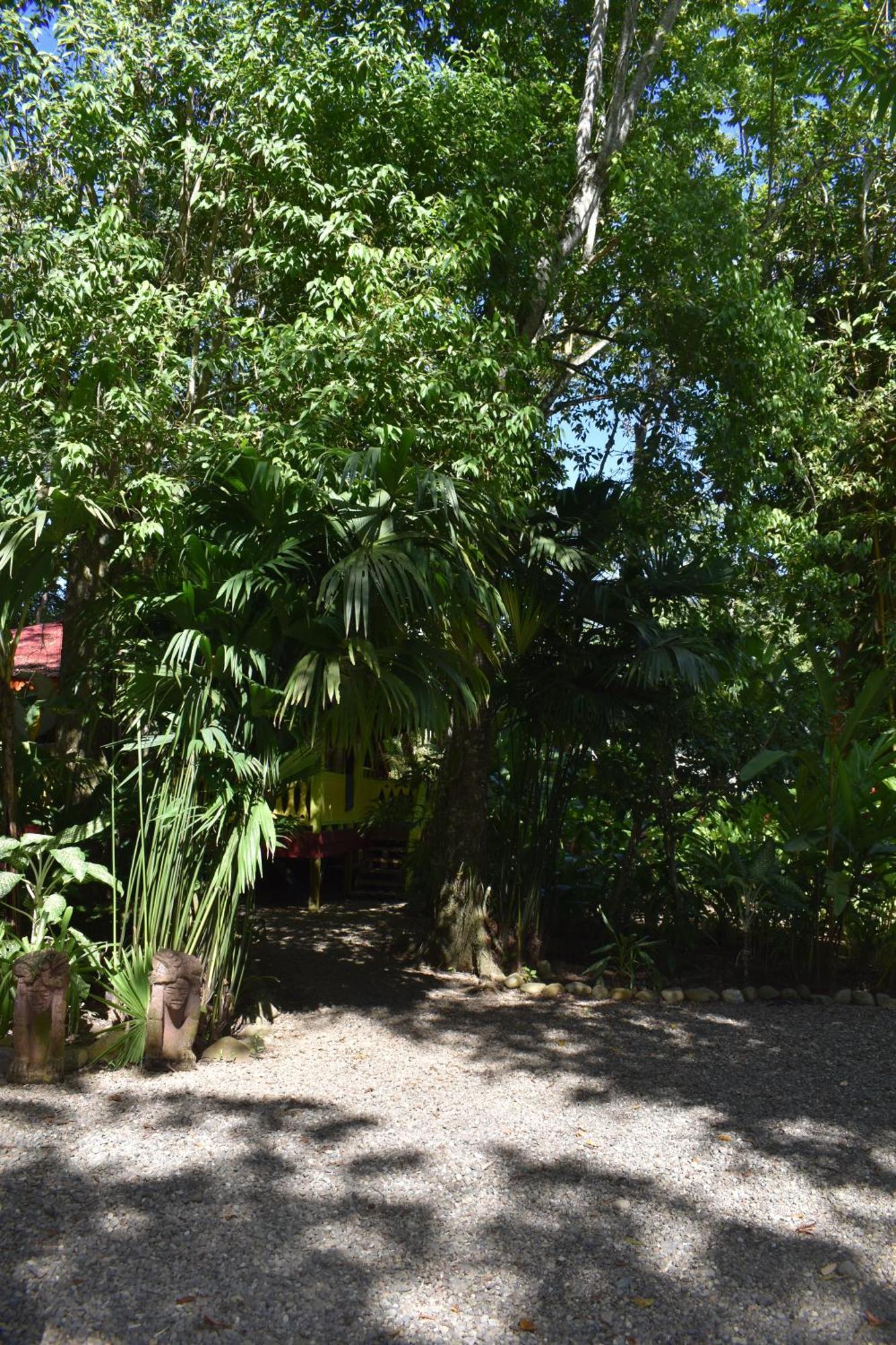 הוילה Puerto Viejo de Talamanca El Jardin De Playa Negra מראה חיצוני תמונה