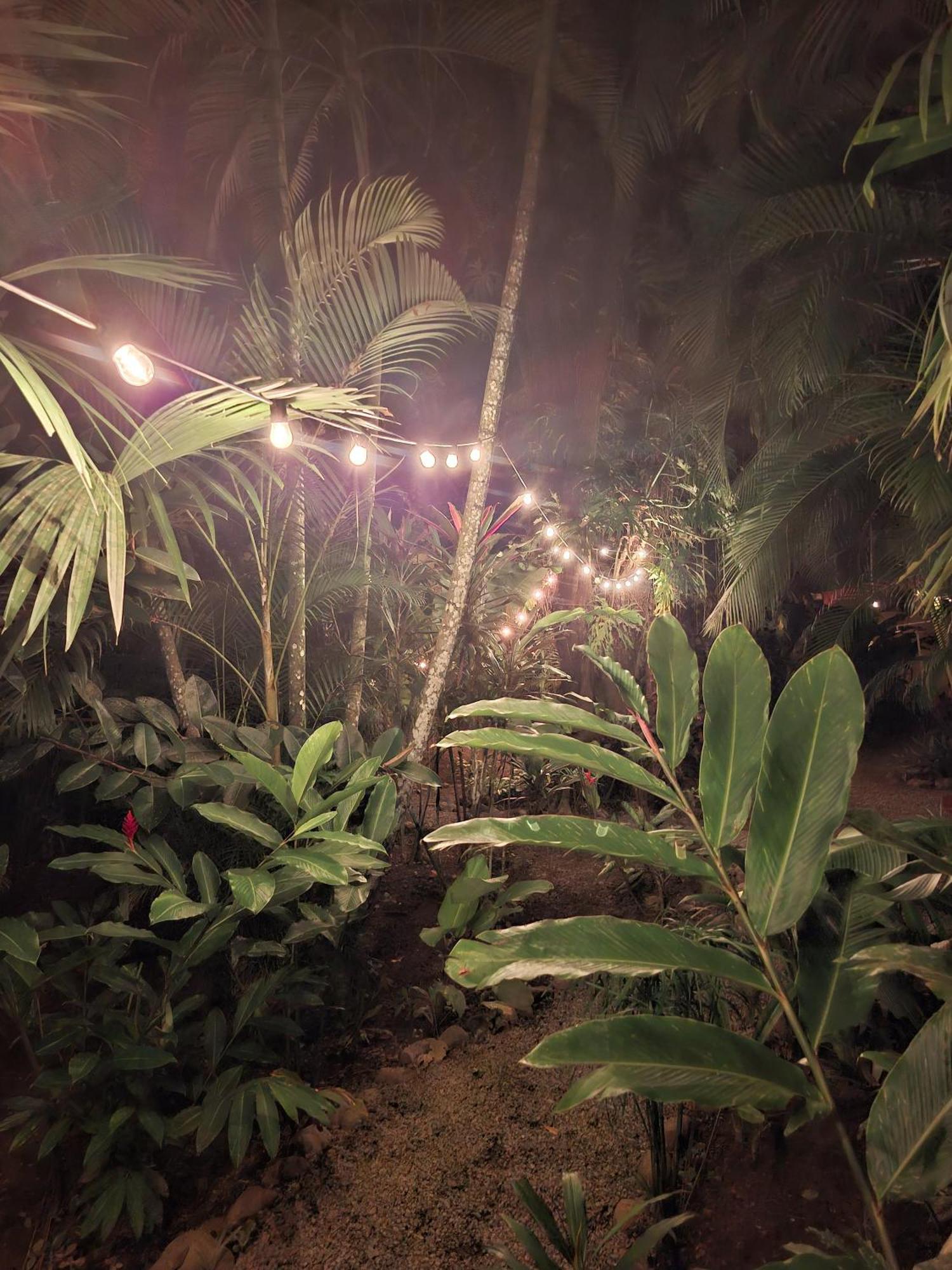 הוילה Puerto Viejo de Talamanca El Jardin De Playa Negra מראה חיצוני תמונה