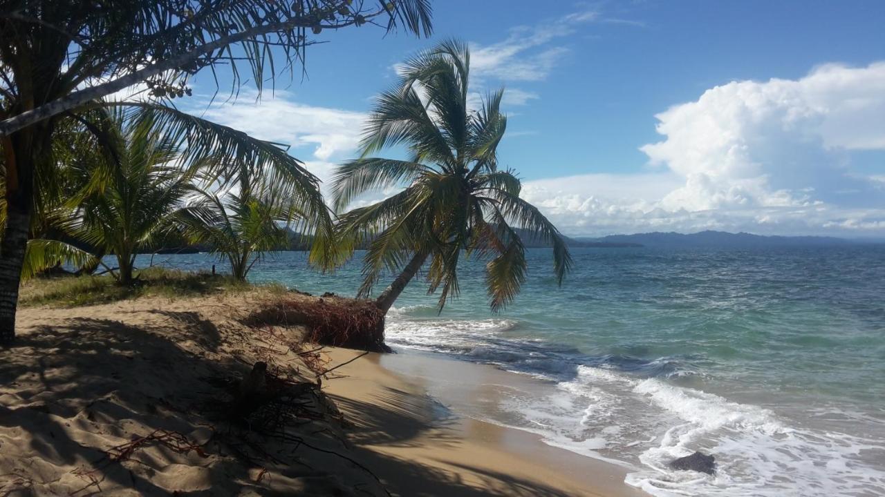 הוילה Puerto Viejo de Talamanca El Jardin De Playa Negra מראה חיצוני תמונה