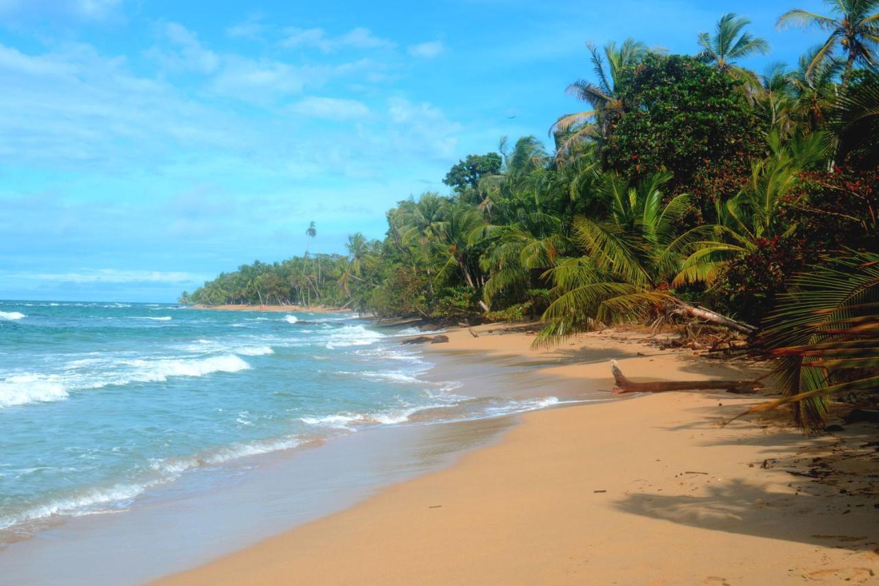 הוילה Puerto Viejo de Talamanca El Jardin De Playa Negra מראה חיצוני תמונה